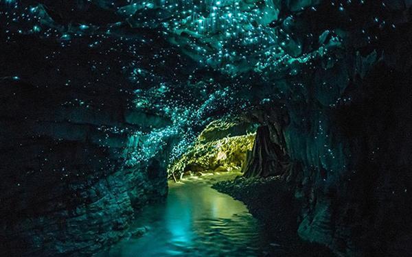深海鱼救援