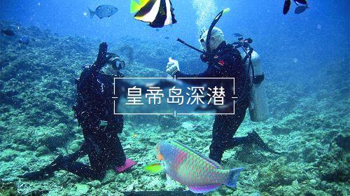 十三香到底是什么香?