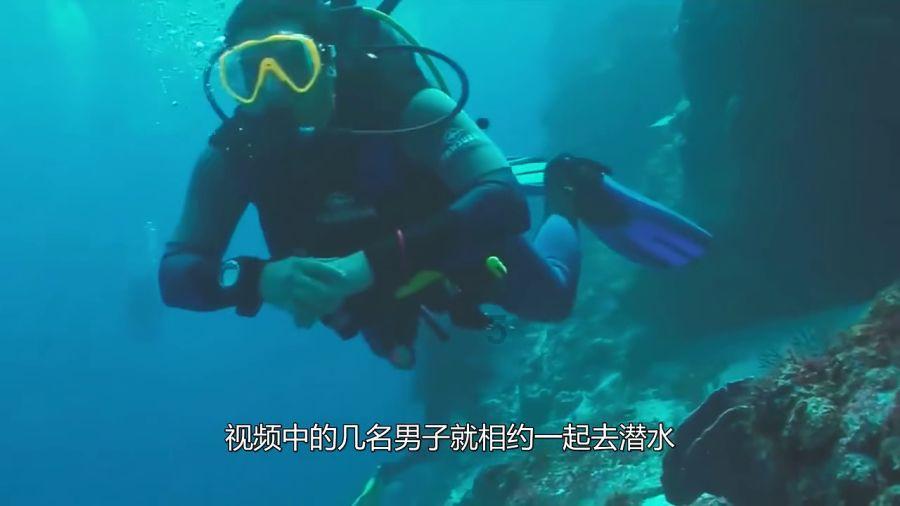 生化危机：浣熊市行动