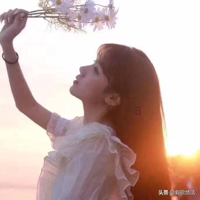 组装机械机甲暴龙2